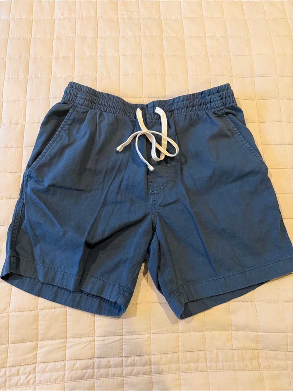 J. Crew Blue Men's Cargo Shorts